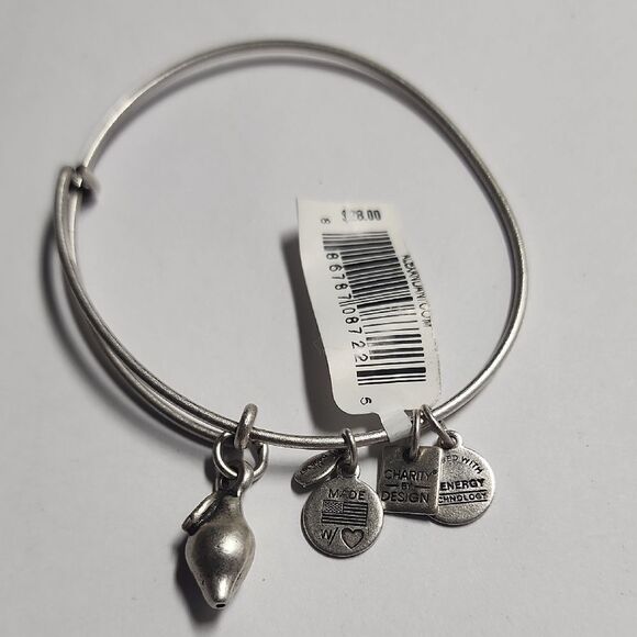 Alex & Ani Silver Charm Bangle Bracelet - Picture 1 of 3